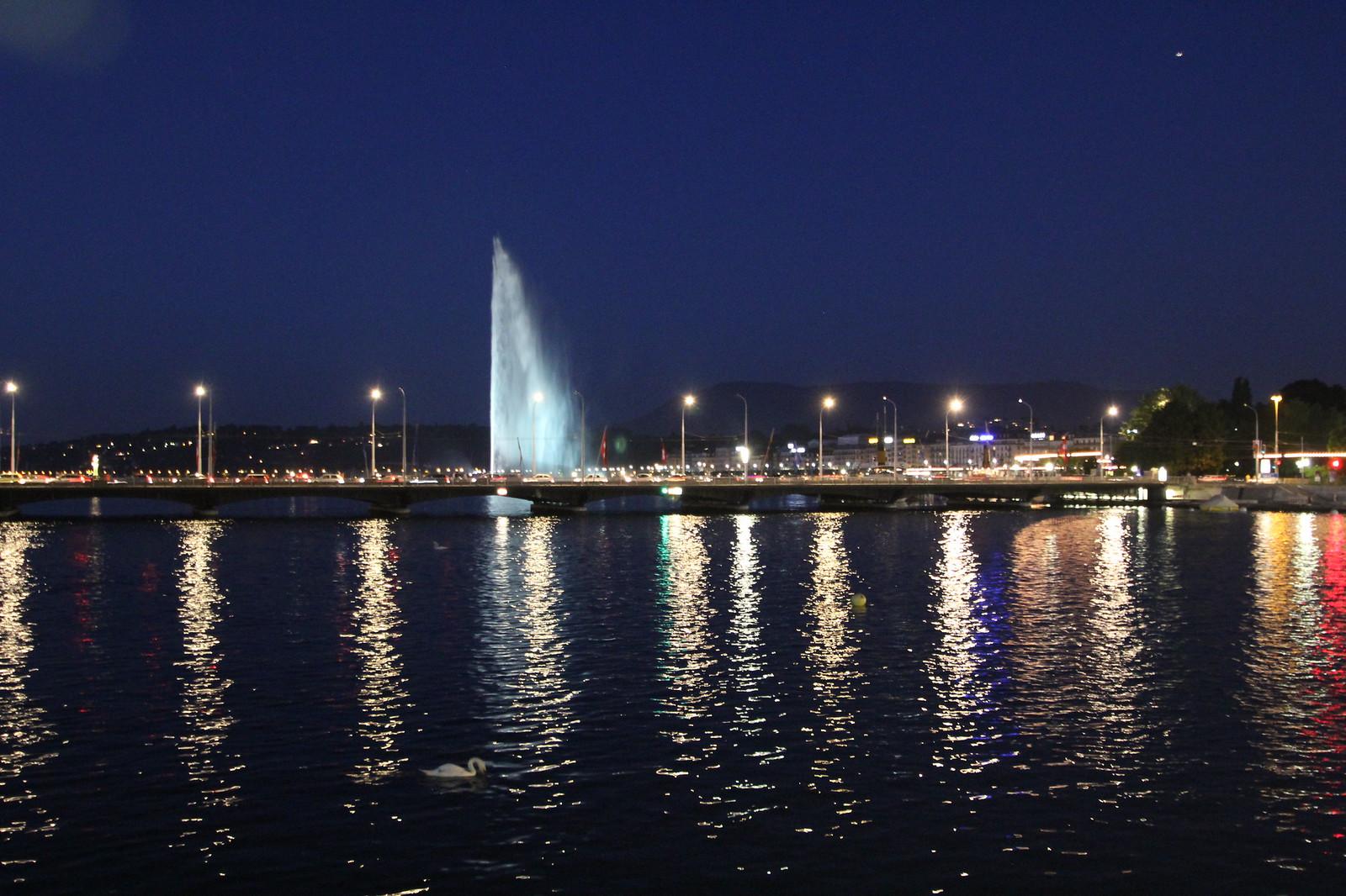 GP, psychologist or counsellor: how to choose the right mental health support in Geneva